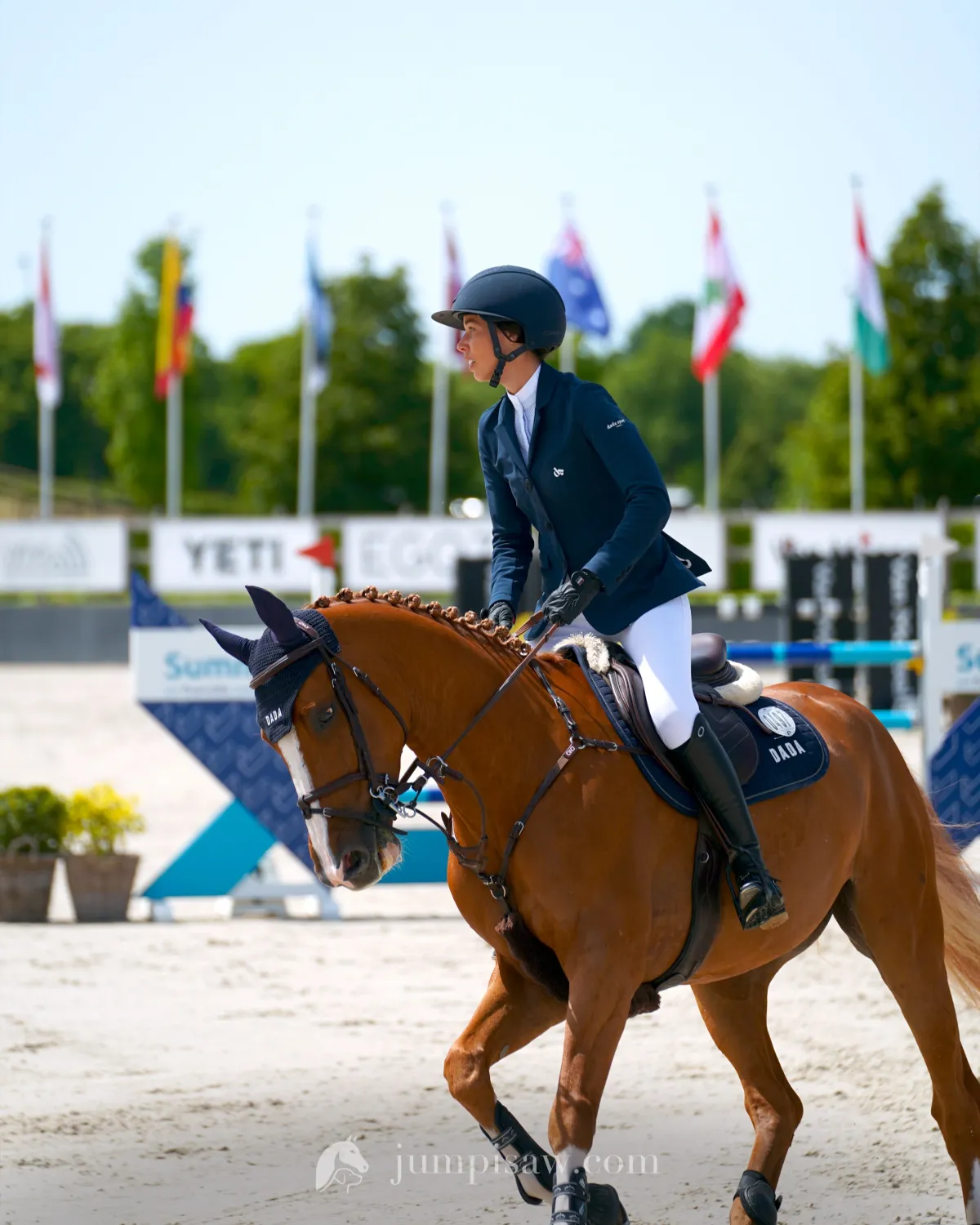 A show-jumping rider in a navy jacket on a chestnut horse, walking past a line of national flags at CSI Valkenswaard